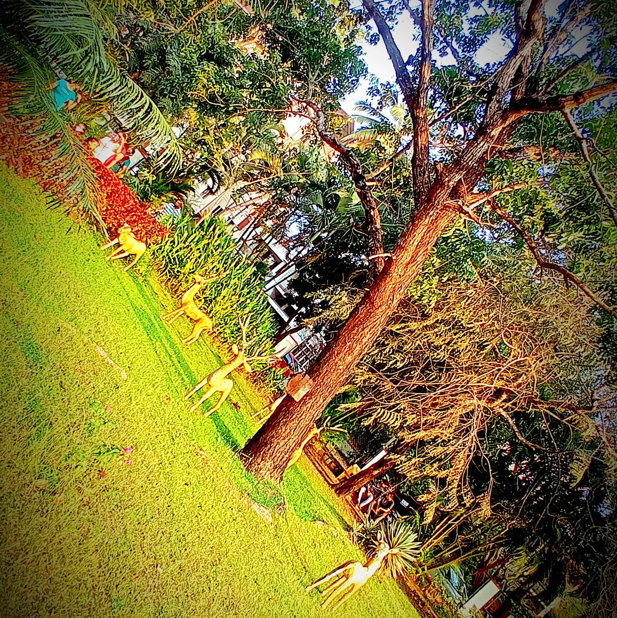 Post