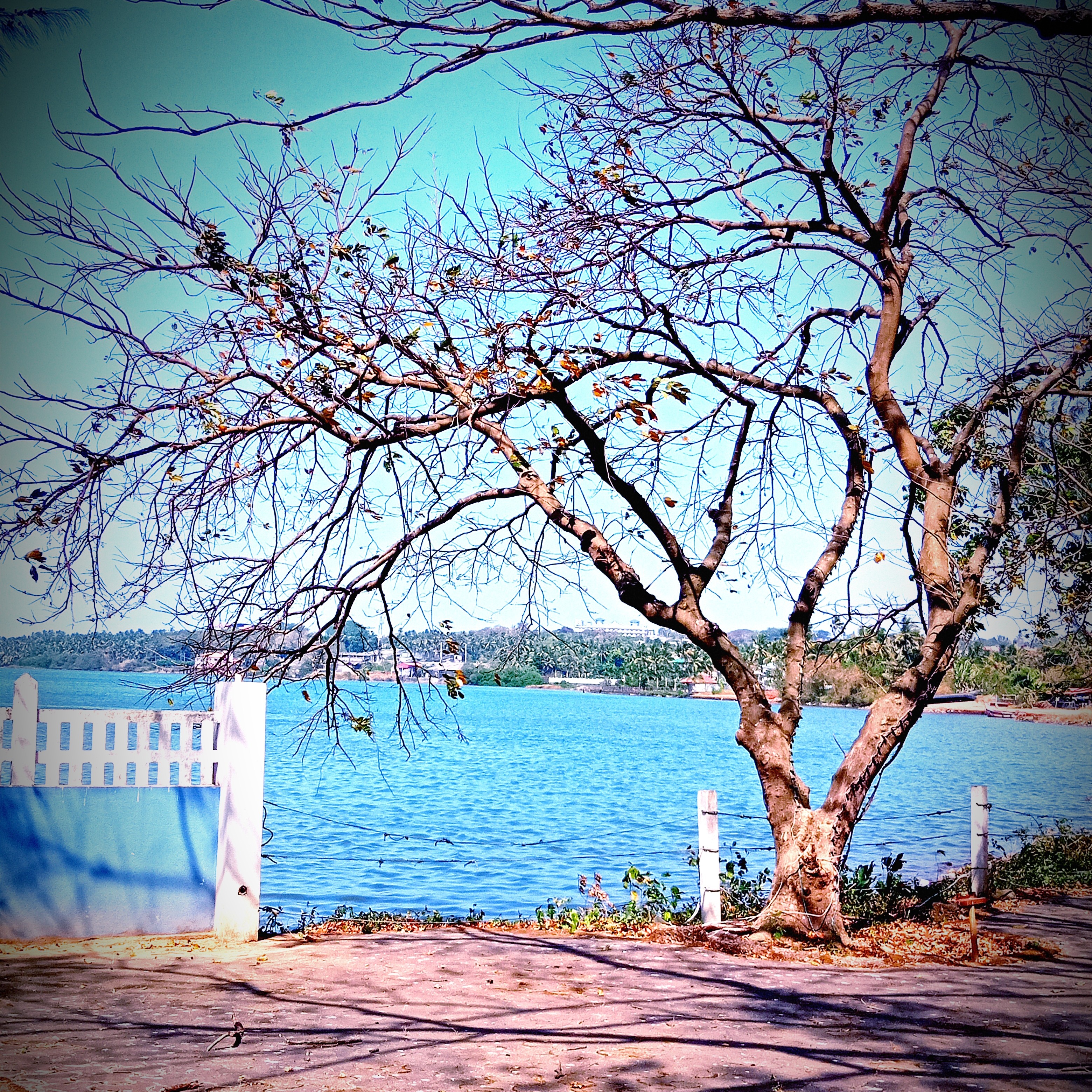 Post